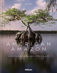 American Amazon