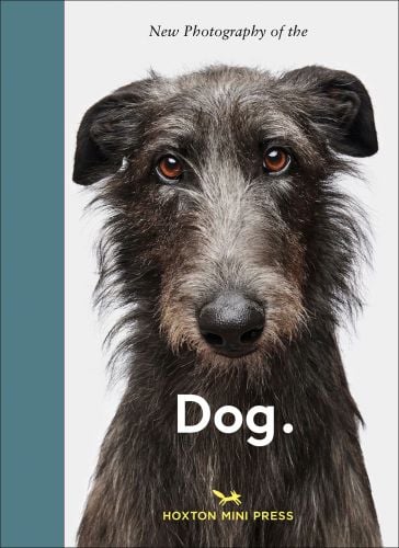 New Photography of the Dog.