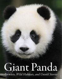 Giant Panda