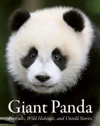Giant Panda