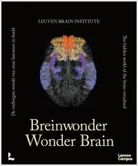 Wonder Brain