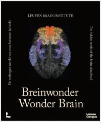 Wonder Brain