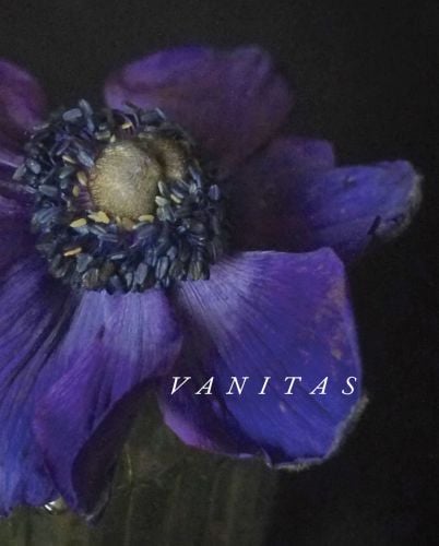 Vanitas