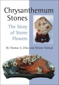 Chrysanthemum Stones