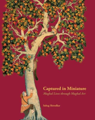 Book cover of Captured in Miniature: Mughal Lives through Mughal Art, with a painting of figure climbing truck of a tree. Published by Mapin Publishing.