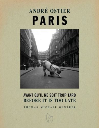 Book cover of Paris, Before it is Too Late, with a white horse kneeling down on one knee. Published by Pointed Leaf Press.