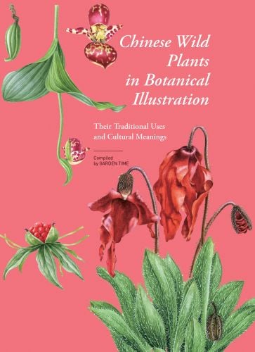 Chinese Wild Plants in Botanical Illustration 2