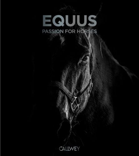 Equus