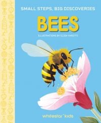 Small Steps, Big Discoveries: Bees