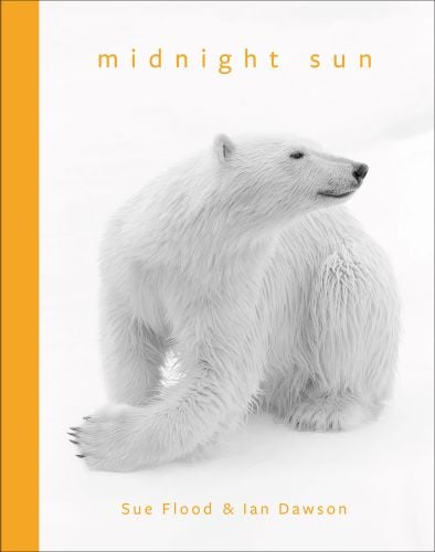 Midnight Sun