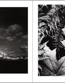 Book cover of Ansel Adams: The National Park Service Photographs, featuring the American National park with winding river and mountains behind. Published by Abbeville Press.