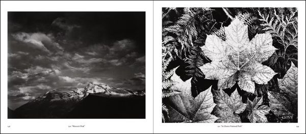 Book cover of Ansel Adams: The National Park Service Photographs, featuring the American National park with winding river and mountains behind. Published by Abbeville Press.