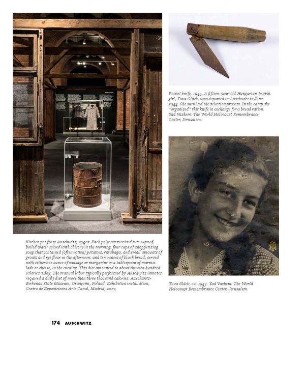 Book cover of Auschwitz: Not Long Ago. Not Far Away, with the train tracks heading towards the Auschwitz II (Birkenau) concentration camp. Published by Abbeville Press.