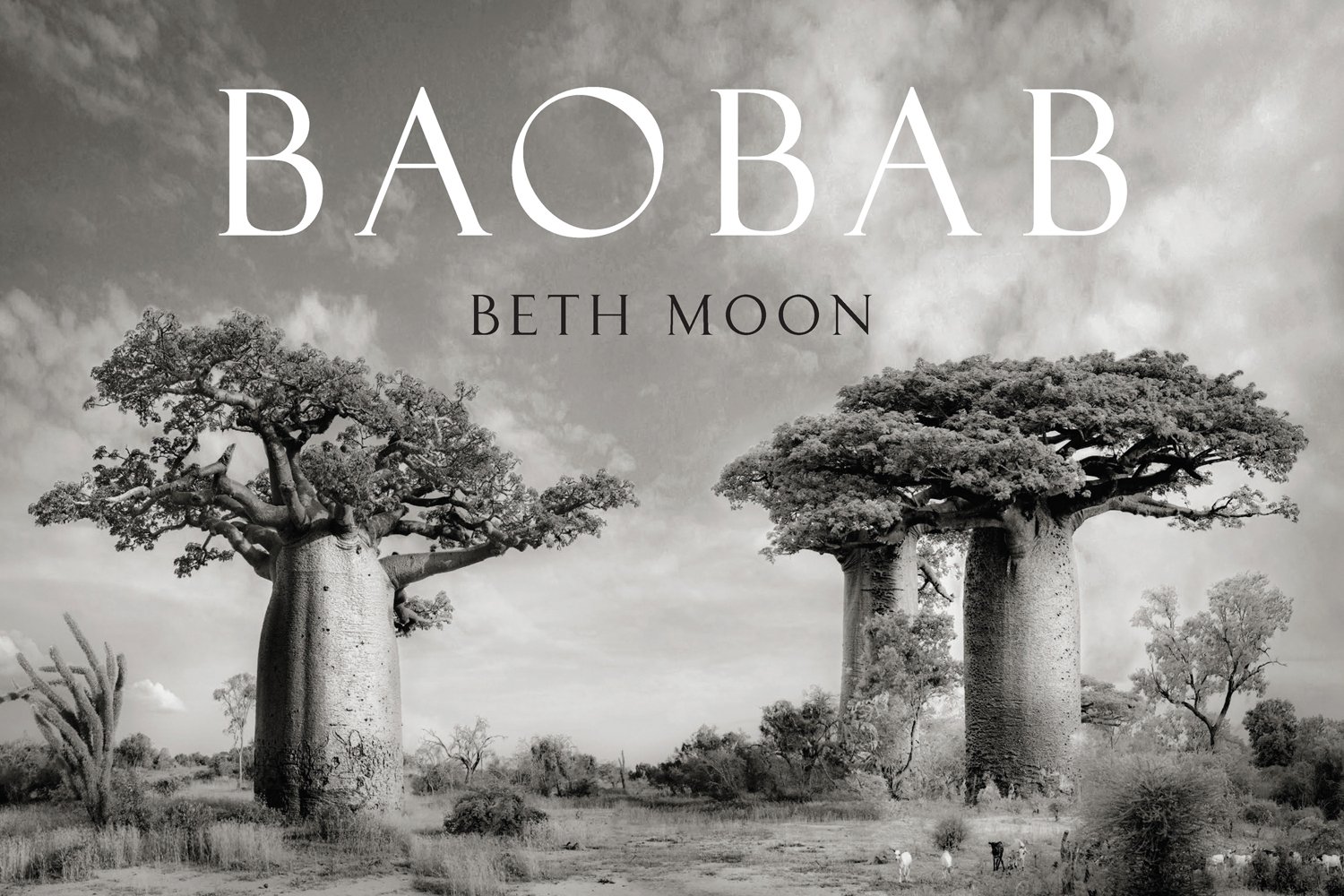 Book cover of Baobab, featuring four large African Baobab trees with barrel-like trunks. Published by Abbeville Press.