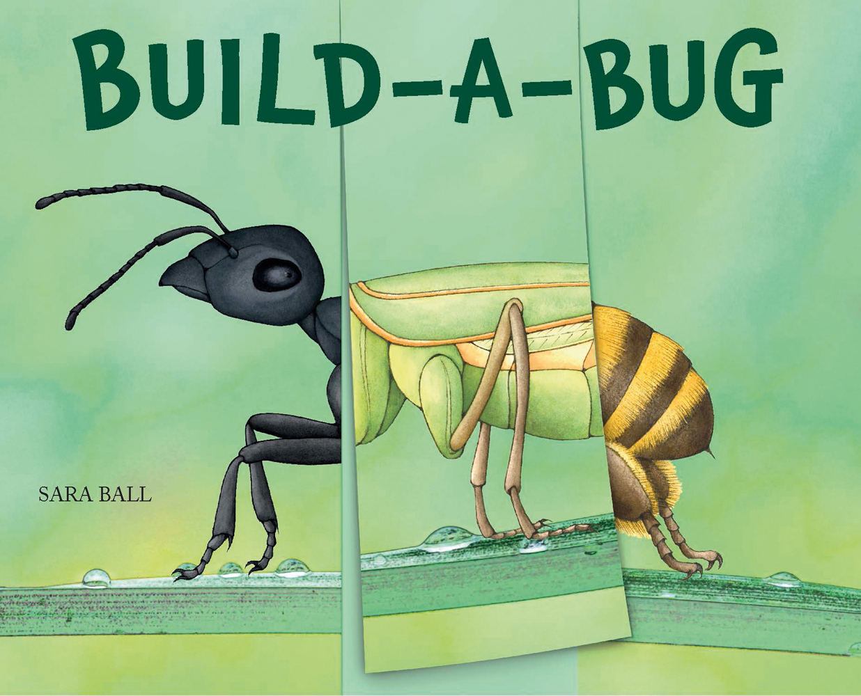 Build-a-Bug - ACC Art Books UK