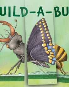 Board book cover of Build-a-Bug: Make Your Own Wacky Insect!, with three sections: a head of stag beetle, the body of butterfly, and the tail of wasp. Published by Abbeville Press.