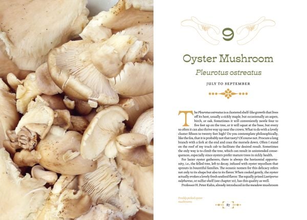 Book cover of Mushroom Foraging and Feasting, featuring a basket of gold and white mushrooms on table. Published by Abbeville Press.