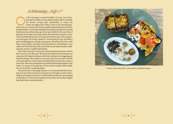 Book cover of Mushroom Foraging and Feasting, featuring a basket of gold and white mushrooms on table. Published by Abbeville Press.