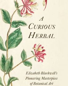 Illustration of honeysuckle by Botanical artist Elizabeth Blackwell, on cover of 'A Curious Herbal' by Abbeville Press.