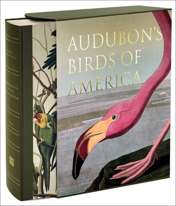 Luxury slipcase cover of Audubon’s Birds of America, Baby Elephant Folio', with a painting of head and foot of pink flamingo. Published by Abbeville Press.