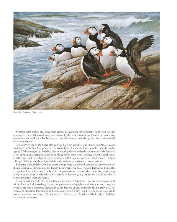 Luxury slipcase cover of Audubon’s Birds of America, Baby Elephant Folio', with a painting of head and foot of pink flamingo. Published by Abbeville Press.