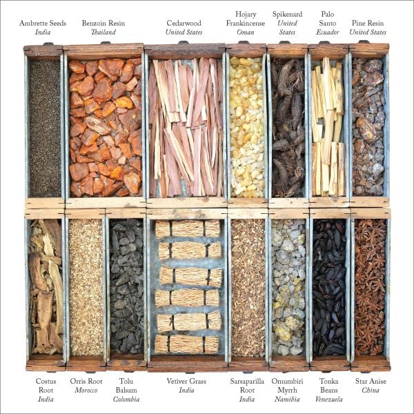 Book cover of The Museum of Scent, Exploring the Curious and Wondrous World of Fragrance, with a collection of antique perfume bottles surrounded by old books and chunks of wood. Published by Abbeville Press.