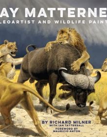 Book cover of Jay Matternes: Paleoartist and Wildlife Painter, with a pack of lions attacking a buffalo. Published by Abbeville Press.
