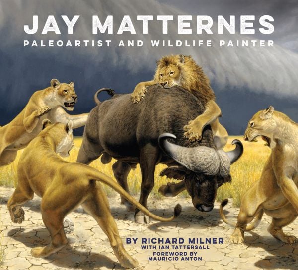 Book cover of Jay Matternes: Paleoartist and Wildlife Painter, with a pack of lions attacking a buffalo. Published by Abbeville Press.