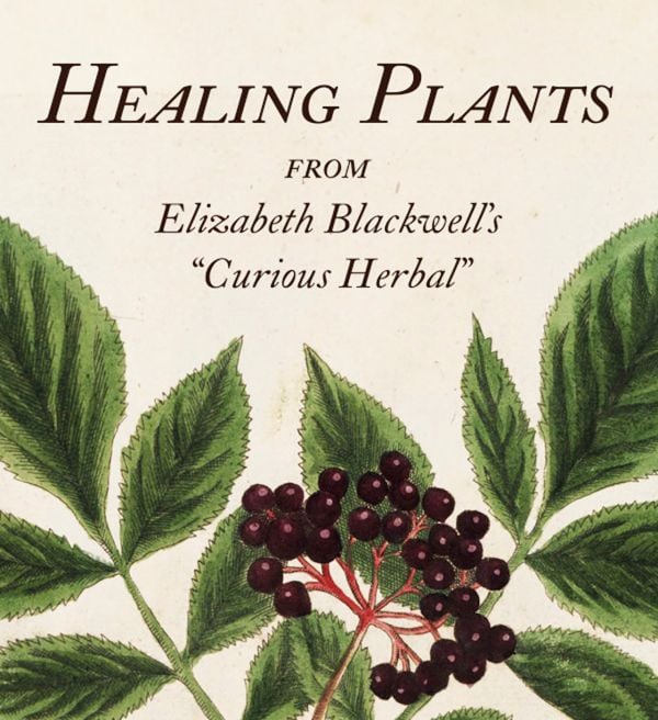 Book cover of Healing Plants: From Elizabeth Blackwell's