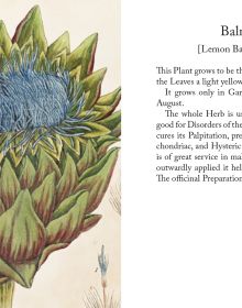 Book cover of Healing Plants: From Elizabeth Blackwell's 