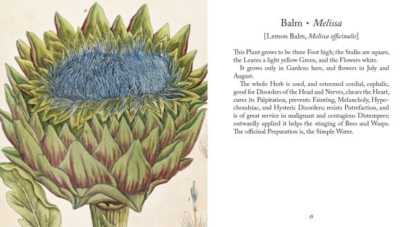 Book cover of Healing Plants: From Elizabeth Blackwell's