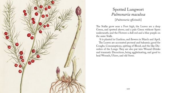 Book cover of Healing Plants: From Elizabeth Blackwell's