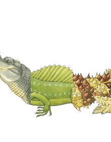 Book cover of Sara Ball's Flip-a-gator, with the head of iguana, torso of green dragon and tail of spiky tailed lizard. Published by Abbeville Press.
