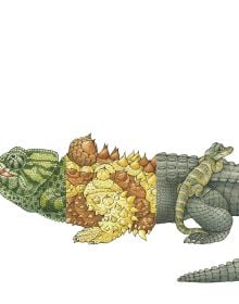 Book cover of Sara Ball's Flip-a-gator, with the head of iguana, torso of green dragon and tail of spiky tailed lizard. Published by Abbeville Press.