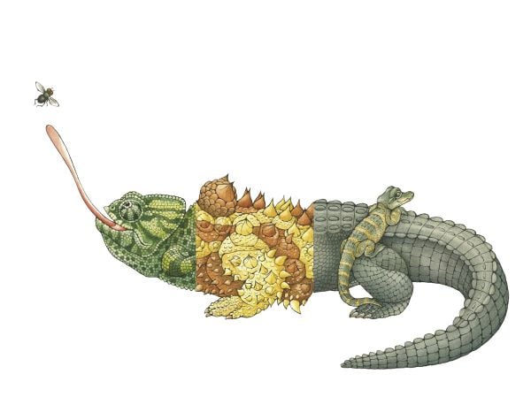 Book cover of Sara Ball's Flip-a-gator, with the head of iguana, torso of green dragon and tail of spiky tailed lizard. Published by Abbeville Press.