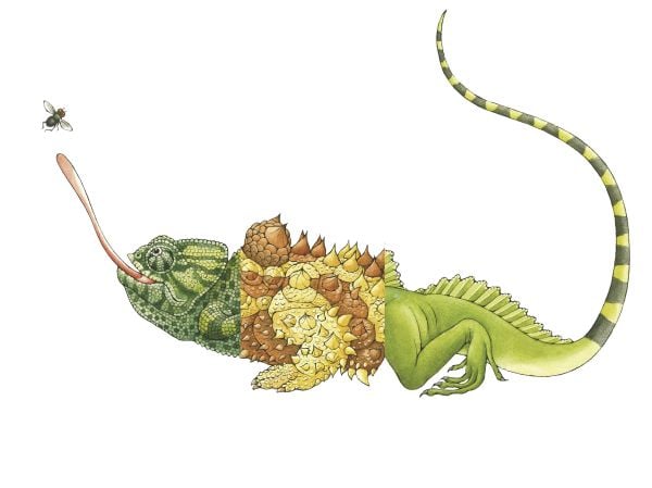 Book cover of Sara Ball's Flip-a-gator, with the head of iguana, torso of green dragon and tail of spiky tailed lizard. Published by Abbeville Press.