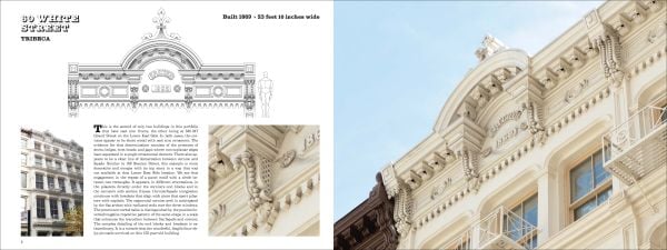 Book cover of Ornamental Cornices: Manhattan’s Sheet-Metal Masterpieces, featuring the decorative mould to the top of a building. Published by Abbeville Press.