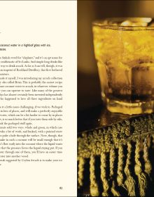Dryads: Spirits of the Trees