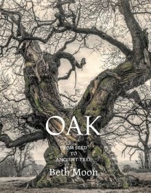 Oak