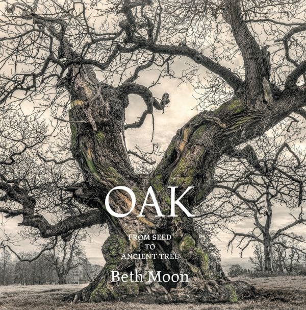 Book cover of Oak: From Seed to Ancient Tree; featuring a large tree. Published by Abbeville Press.
