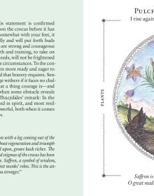 Symbolorum