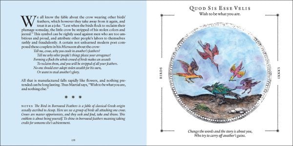 Book cover of Symbolorum: The Secret Wisdom of Emblems; featuring a hand holding a large pine cone. Published by Abbeville Press.