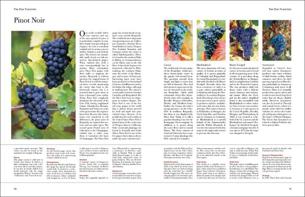 Book cover of Wine from Grape to Glass: The Wines of the World and how they are Made; featuring large bunches of black grapes. Published by Abbeville Press.