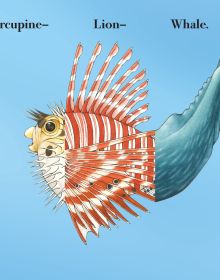 Book cover of Flip-a-Fin: Make Your Own Wacky Sea Creature!; featuring the head of a shark and the tail of a seahorse. Published by Abbeville Press.