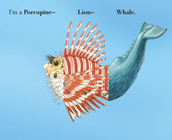 Book cover of Flip-a-Fin: Make Your Own Wacky Sea Creature!; featuring the head of a shark and the tail of a seahorse. Published by Abbeville Press.