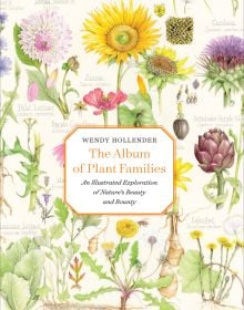 Book cover of The Album of Plant Families: An Illustrated Exploration of Nature's Beauty and Bounty; with botanical art illustrations. Published by Abbeville Press.