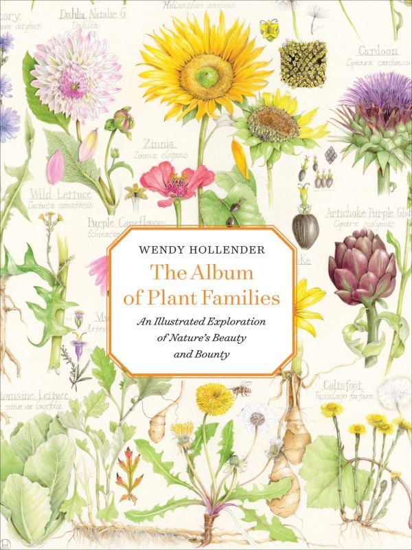 Book cover of The Album of Plant Families: An Illustrated Exploration of Nature's Beauty and Bounty; with botanical art illustrations. Published by Abbeville Press.