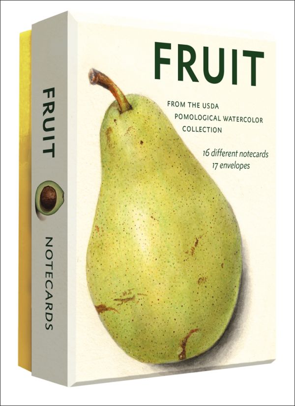 Notecard box of Fruit: Selections from the USDA Pomological Watercolor Collection, featuring a botanical watercolour of pear. Published by Abbeville Press.