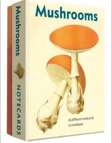 Two mushrooms on greeting card box, by Abbeville Press.