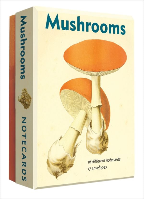 Greeting card box of Mushrooms, featuring a botanical illustrations of two Caesar's mushrooms. Published by Abbeville Press.